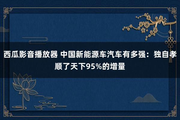 西瓜影音播放器 中国新能源车汽车有多强：独自孝顺了天下95%的增量