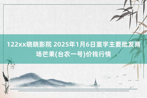 122xx晓晓影院 2025年1月6日寰宇主要批发商场芒果(