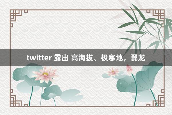 twitter 露出 高海拔、极寒地，翼龙