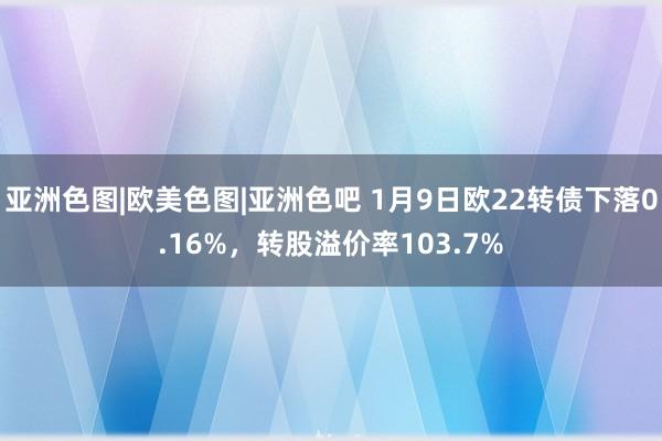 亚洲色图|欧美色图|亚洲色吧 1月9日欧22转债下落0.16