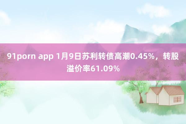 91porn app 1月9日苏利转债高潮0.45%，转股溢