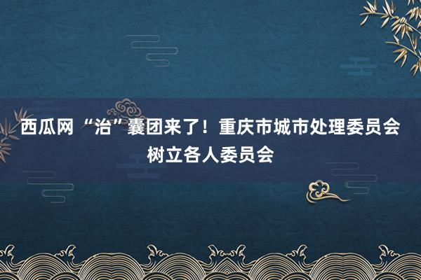 西瓜网 “治”囊团来了！重庆市城市处理委员会树立各人委员会