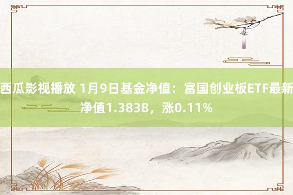 西瓜影视播放 1月9日基金净值：富国创业板ETF最新净值1.