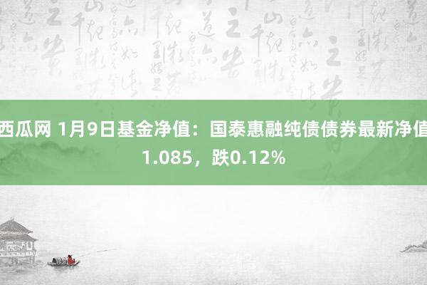 西瓜网 1月9日基金净值：国泰惠融纯债债券最新净值1.085，跌0.12%