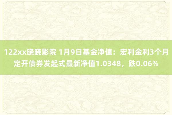 122xx晓晓影院 1月9日基金净值：宏利金利3个月定开债券发起式最新净值1.0348，跌0.06%