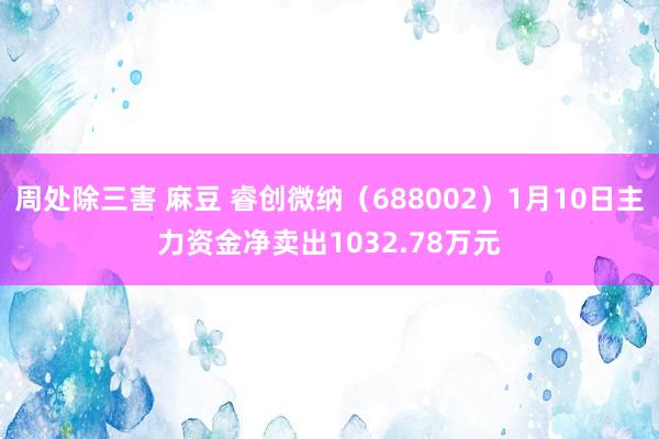 周处除三害 麻豆 睿创微纳（688002）1月10日主力资金净卖出1032.78万元