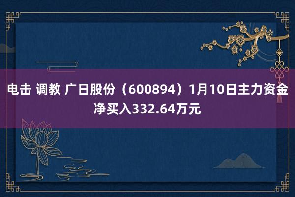 电击 调教 广日股份（600894）1月10日主力资金净买入332.64万元