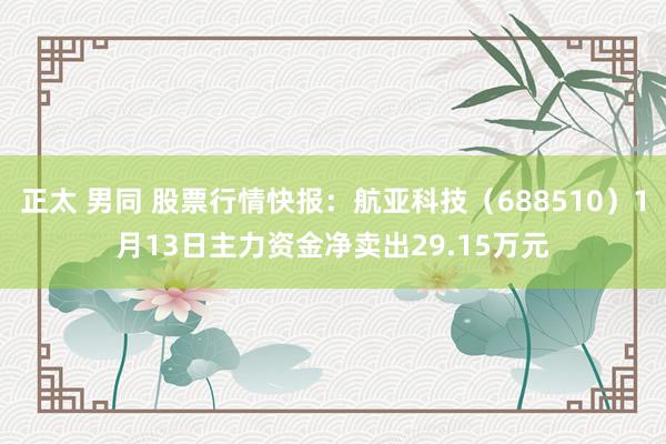 正太 男同 股票行情快报：航亚科技（688510）1月13日