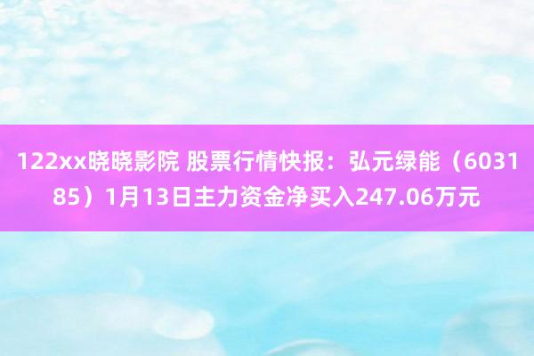 122xx晓晓影院 股票行情快报：弘元绿能（603185）1月13日主力资金净买入247.06万元