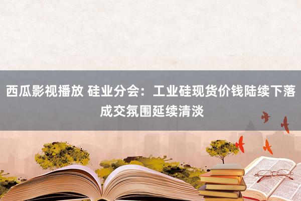 西瓜影视播放 硅业分会：工业硅现货价钱陆续下落 成交氛围延续