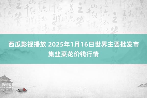 西瓜影视播放 2025年1月16日世界主要批发市集韭菜花价钱行情