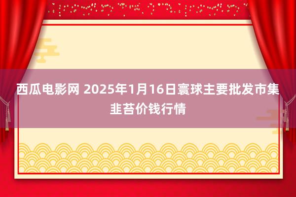 西瓜电影网 2025年1月16日寰球主要批发市集韭苔价钱行情