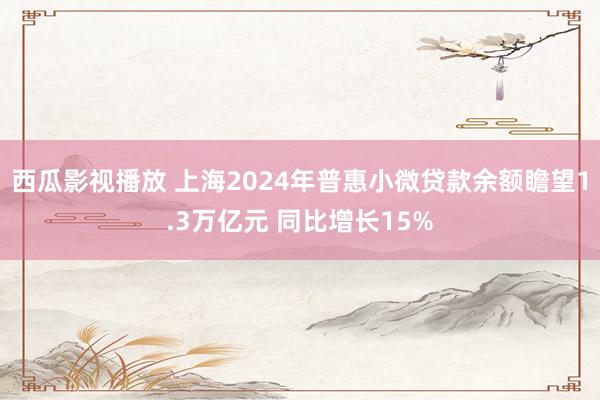 西瓜影视播放 上海2024年普惠小微贷款余额瞻望1.3万亿元